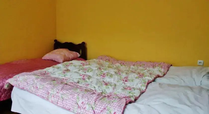 Боржоми: Leos homestay/Guesthouse