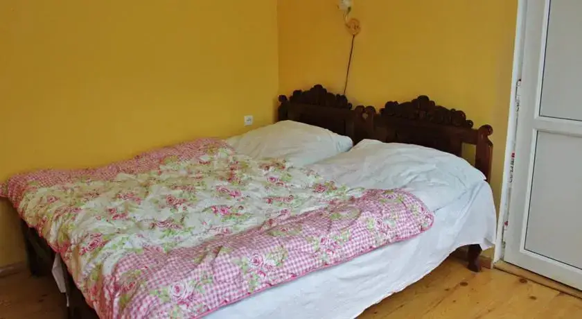 Боржоми: Leos homestay/Guesthouse
