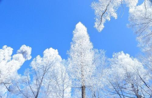 Байшань: Rosy Town Holiday Apartment Changbai Mountain Mingzhu
