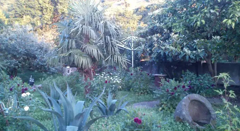 Батуми: Guesthouse Jafara