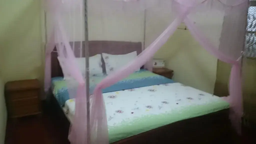 Шэньчжэнь: Rose Inn Shenzhen