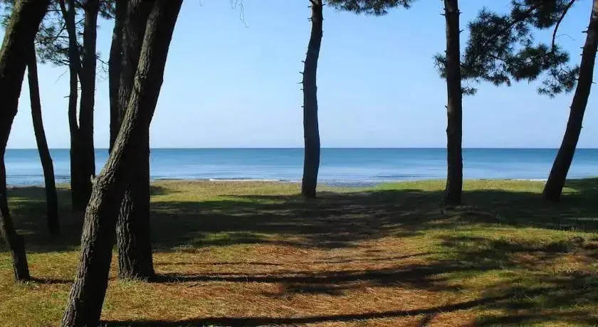 Григолети: Holiday Home in Grigoleti