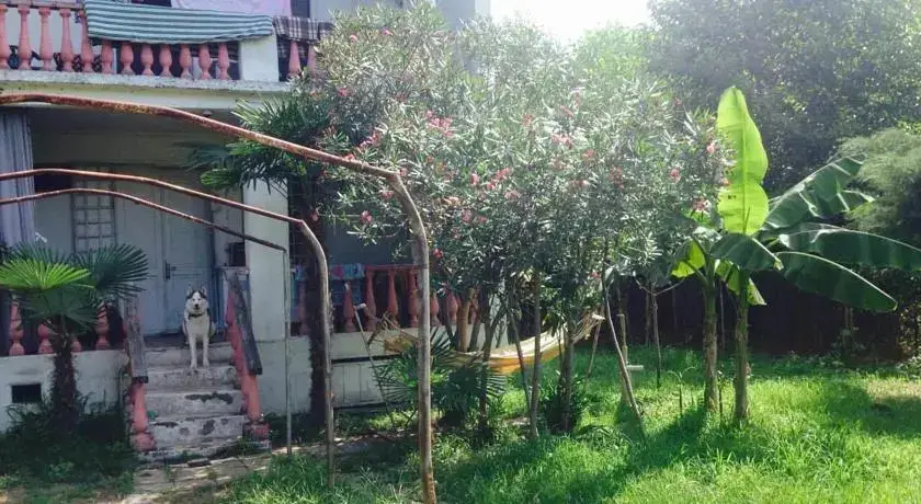 Григолети: Holiday Home in Grigoleti