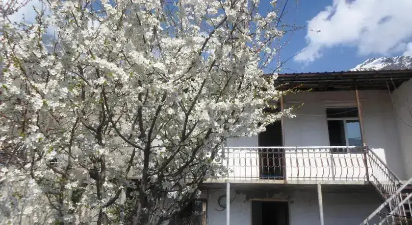 Nanas Guest House — фото 1