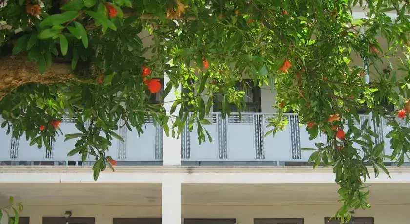 Батуми: Guest House on Tamar Mephe 14