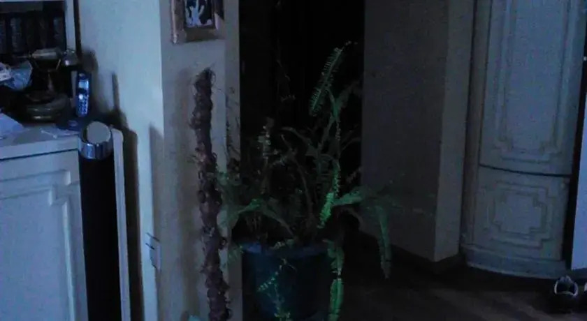 Батуми: Apartamet Messi