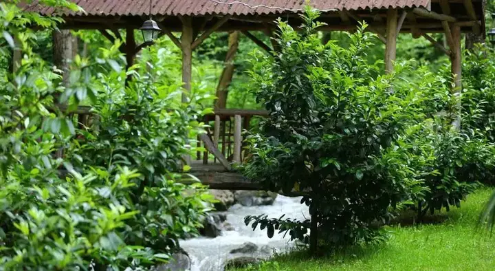 Сакарья: Istanbuldere Dag Evi
