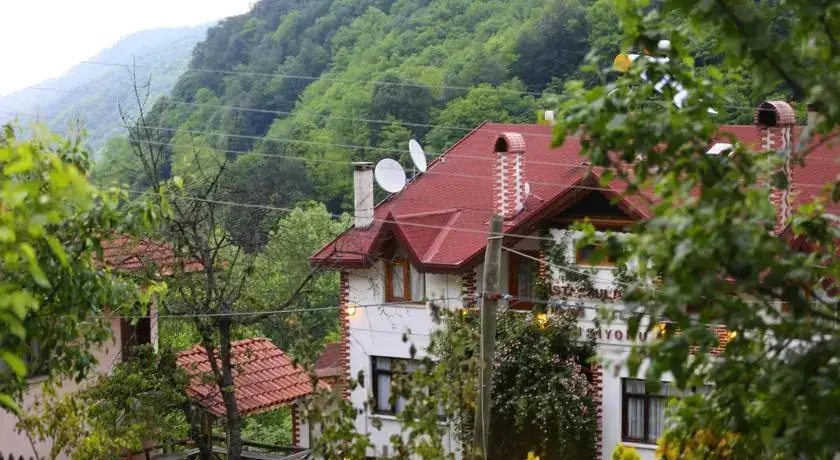 Сакарья: Istanbuldere Dag Evi