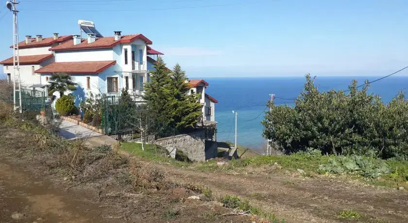 Sayın Villa — фото 1