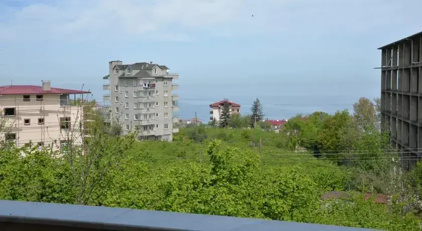 Трабзон: Ali Yigit Villa