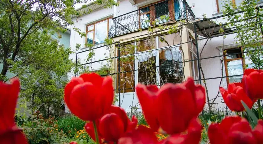 Шымкент: ShymCity Hostel