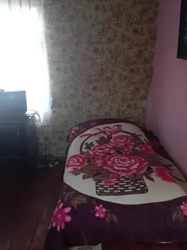 Боржоми: House Mary