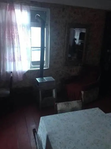 Боржоми: House Mary
