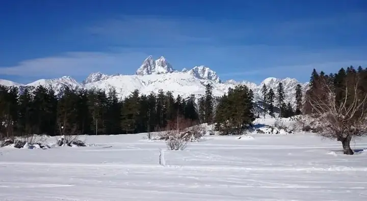 Местиа: Lavladashi