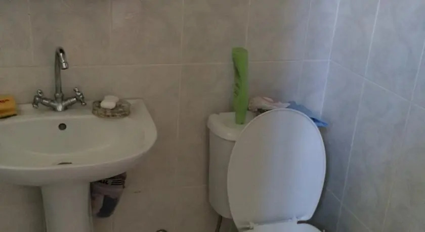 Боржоми: Guest House Eleniko