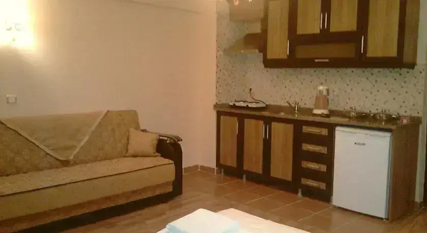 Стамбул: Istanbul Apartments Old City