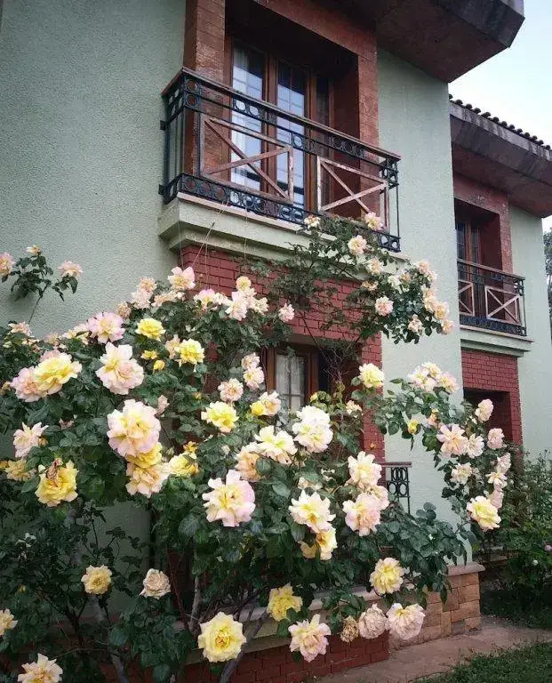 Позанты: Pendosis Vacation Village