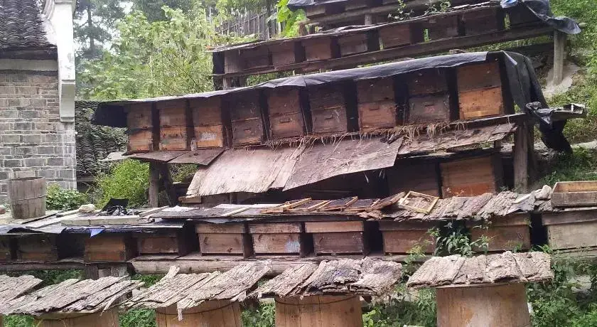Чжанцзяцзе: Senlin Inn