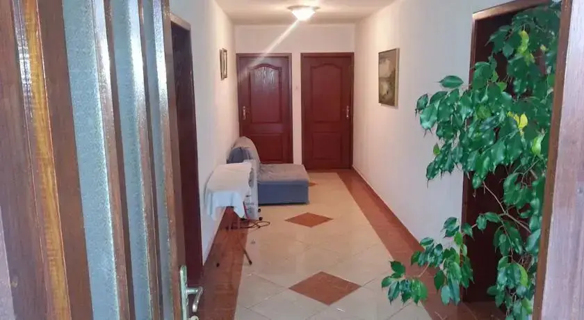 Бар: Apartments Stevo Nikočević