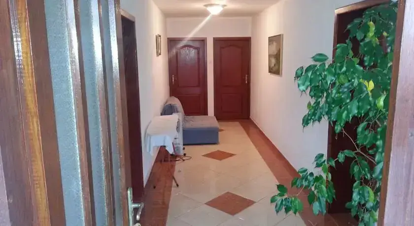 Бар: Apartments Stevo Nikočević
