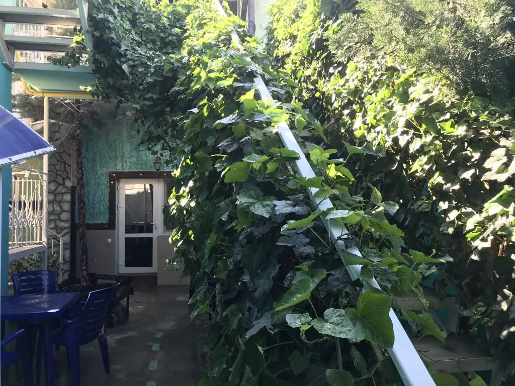 Евпатория: Гостевой Дом Волшебный Дворик Magic Patio