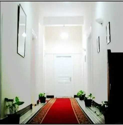 Каир: The Canadian Hostel