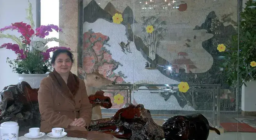 Ниньбинь: Phuong Anh Hotel