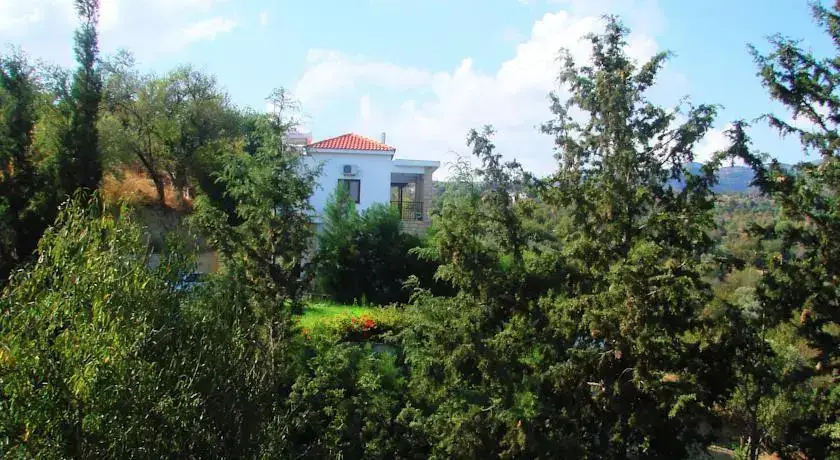 Киссонерга: Aloni Villa 1