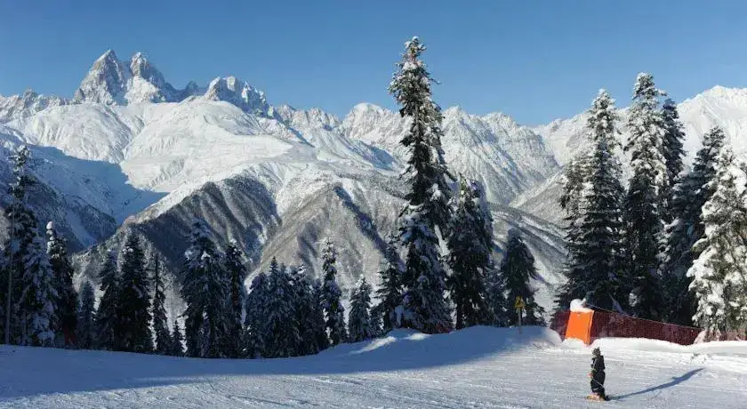 Местиа: Goshteliani Family Guesthouse