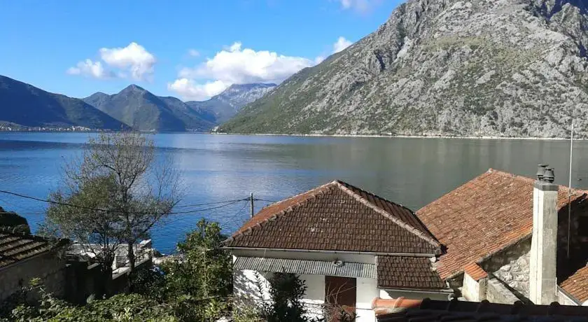 Доброта: Guesthouse Živković
