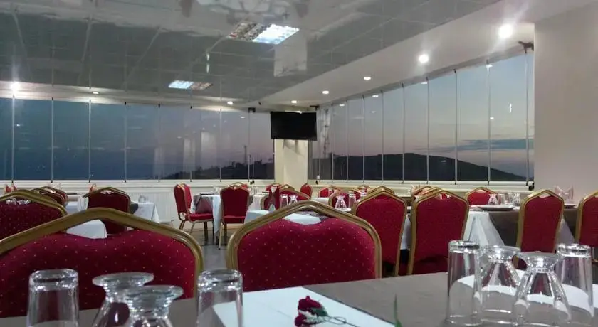 Эргани: Serkan Hotel