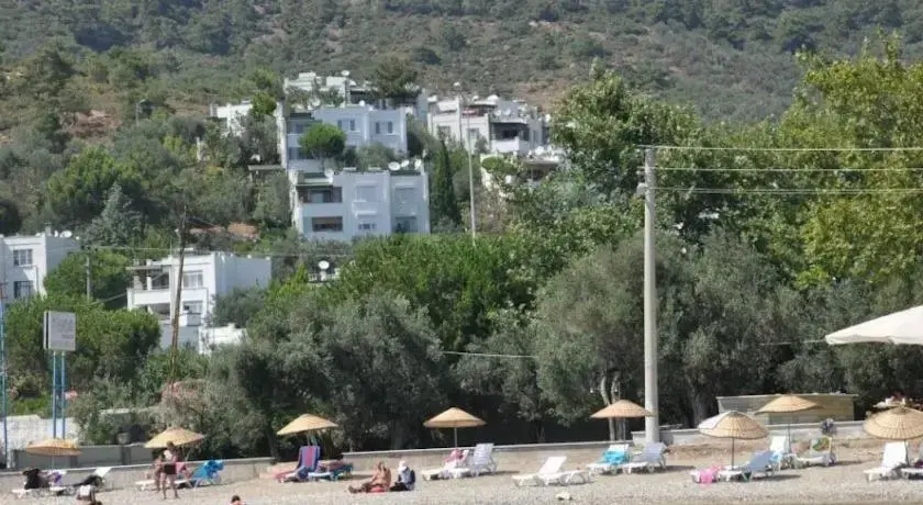 Эдремит: Antandros Motel