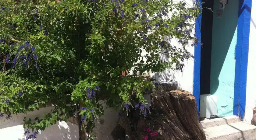 Дикили: Bedriye Hanim Konagi Guest House