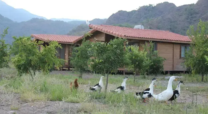 Чиралы: Beyaz Nar Holiday Houses