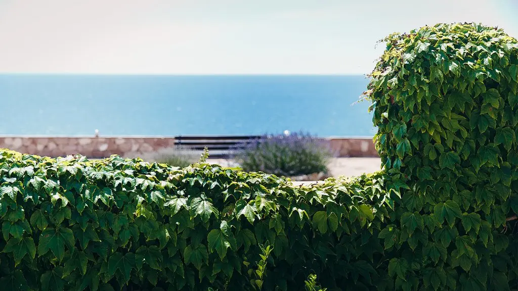 Севастополь: Отель Морская Феерия