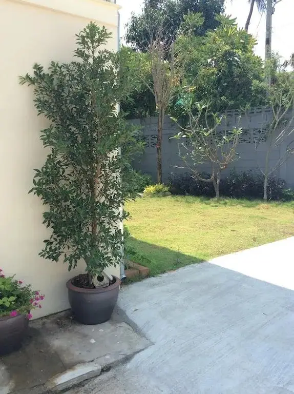 Хуахин: Mango House Holiday Home