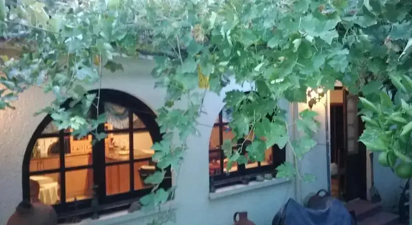 Масотос: Orange Tree House
