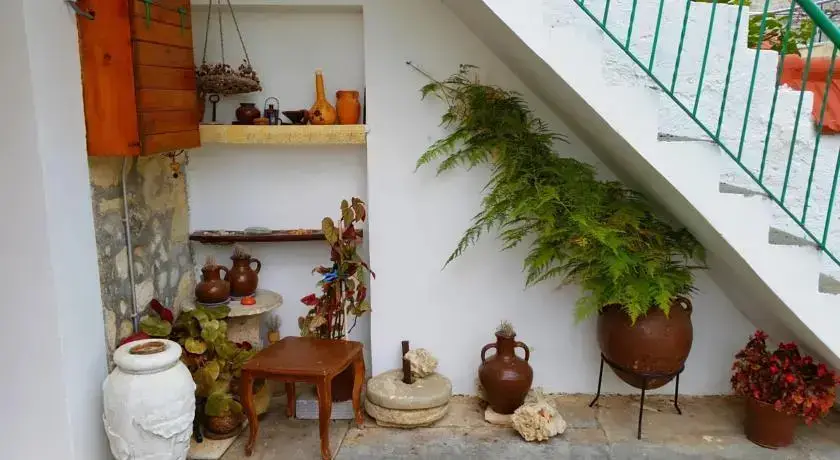 Васа: Jungle House