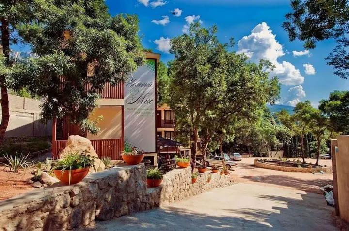 Алупка: Hotel Green Point