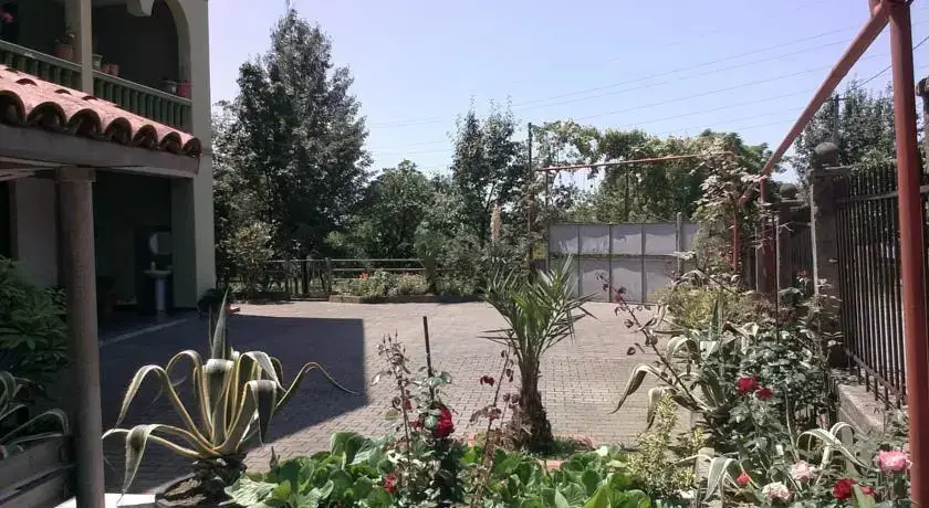Батуми: Amirani House