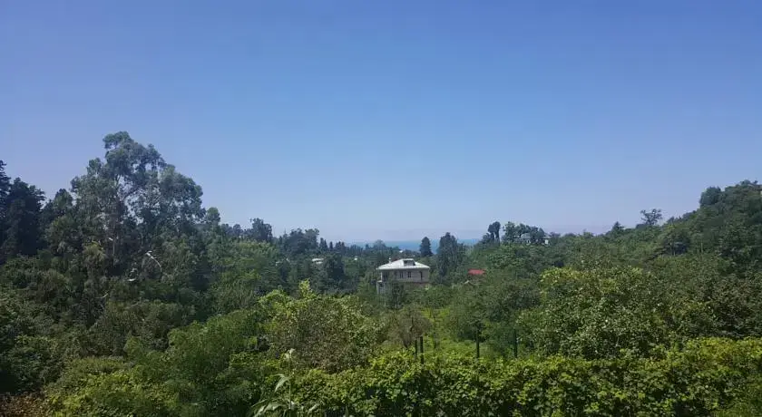 Батуми: Bambarbia Guesthouse