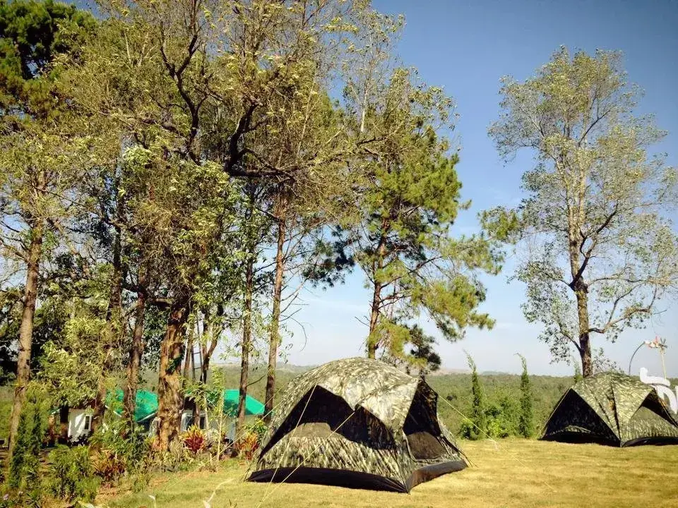 Пху Руэа: Phurua Camp Guest House