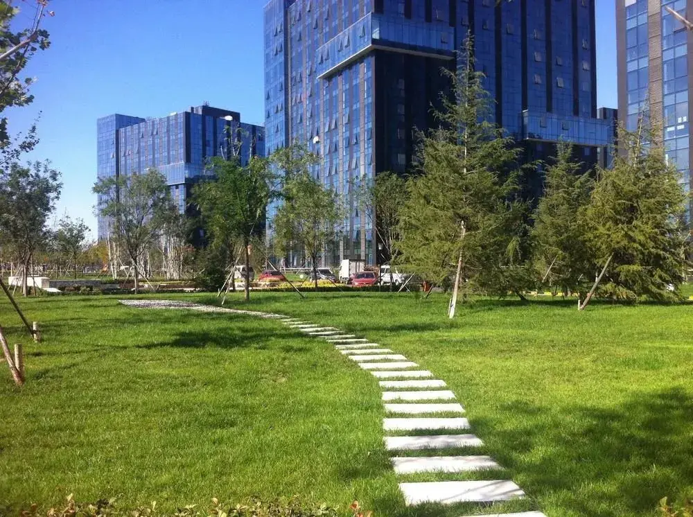 Пекин: Beijing Qingguo International Youth Hostel