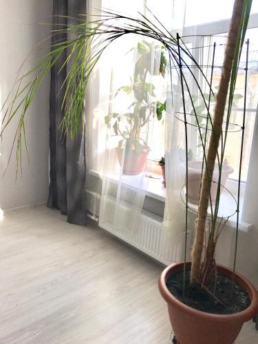 Санкт-Петербург: Na Finskom Minihotel