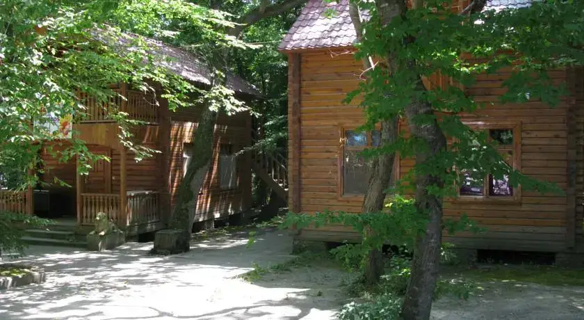 Шеки: Lotos