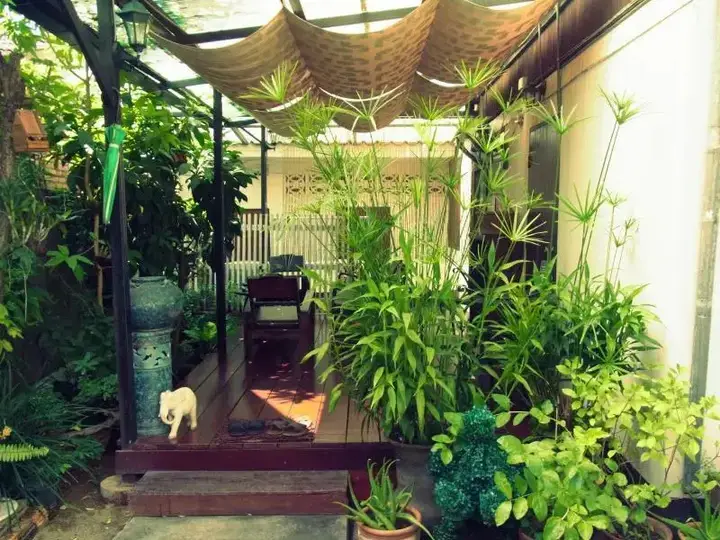 Чиангмай: Green days Cafe & Guest house