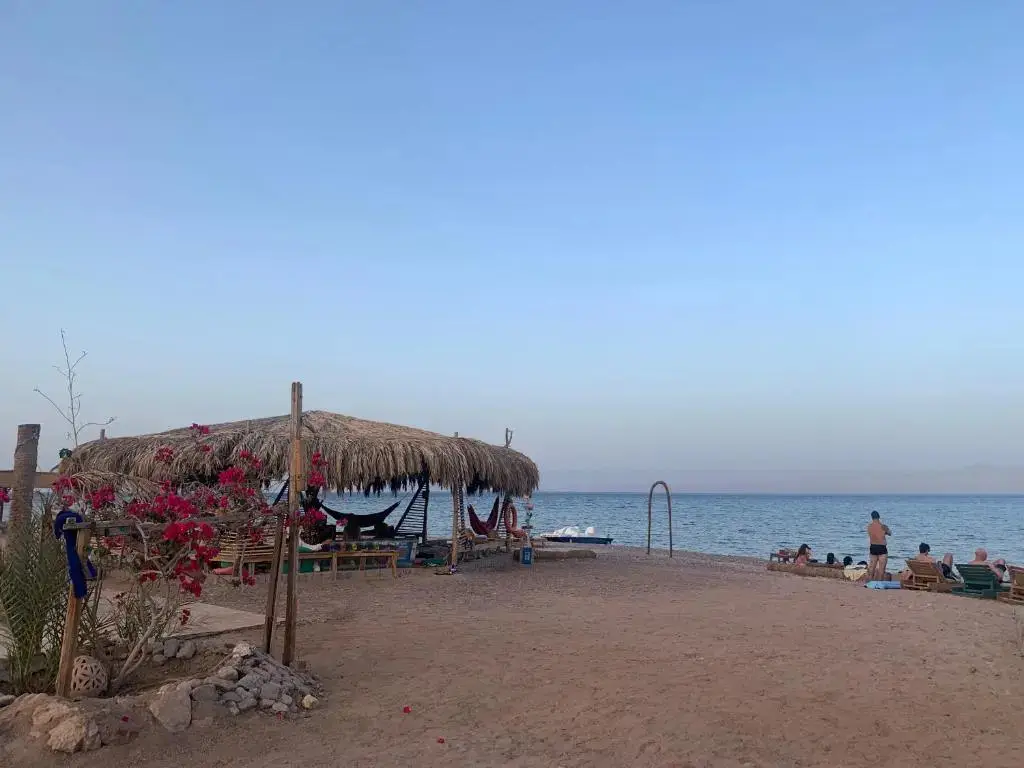Таба: Buddha Camp