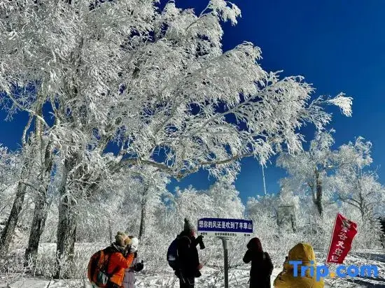 Харбин: Liu family compound in Snow Valley