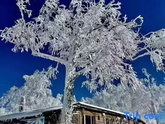 Харбин: Liu family compound in Snow Valley