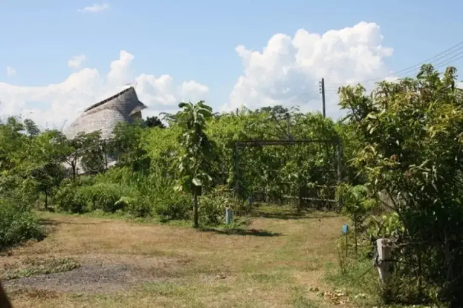 Сан-Патонг: Sanpatong Farm Stay